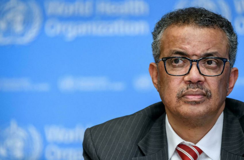  Kenya first African nation to back Tedros second term as WHO chief