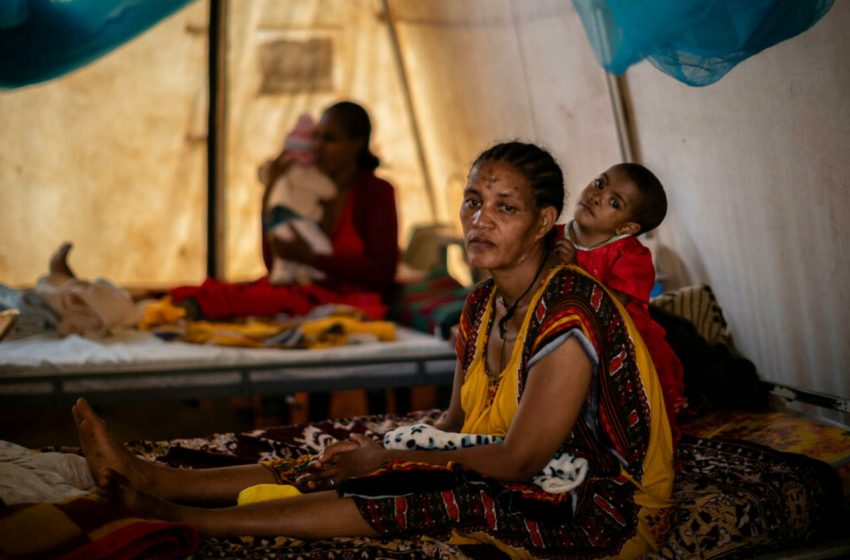  UN reports ‘unprecedented’ malnutrition in Tigray amid ‘indications of siege’