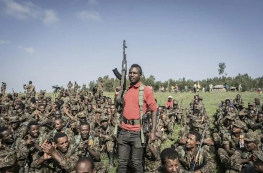  Fresh fighting in Ethiopia’s Afar as army mounts ‘offensive’