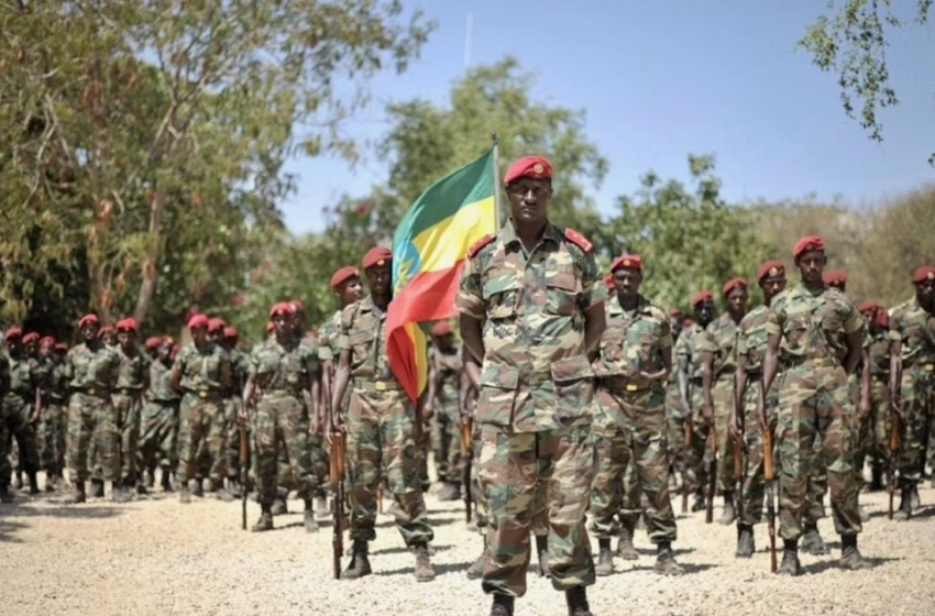  The world’s attention is on Ukraine and Russia, but the deadliest war is in Ethiopia