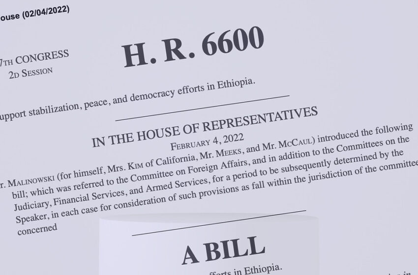  H.R. 6600, Ethiopia Stabilization, Peace, and Democracy Act