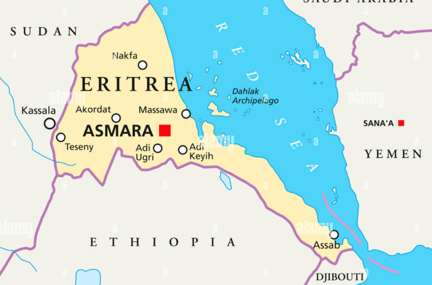  A long time coming: A new Eritrean opposition block brings a realistic hope