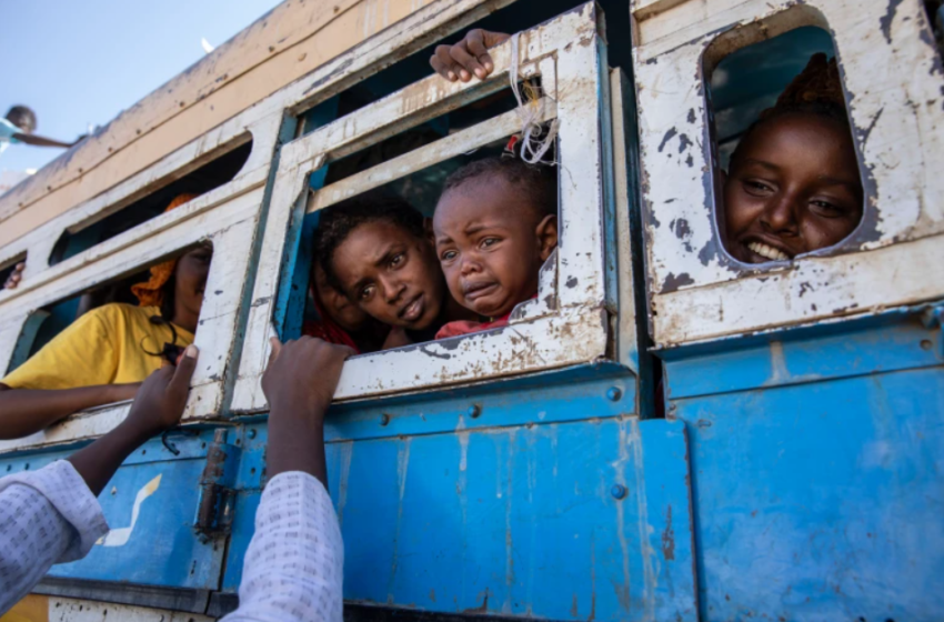  9 Shocking Facts on the Scale of Need in Tigray