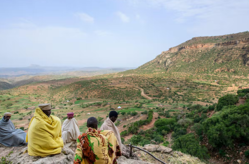  Tigray in Ethiopia was an environmental success story – but the war is undoing decades of regreening
