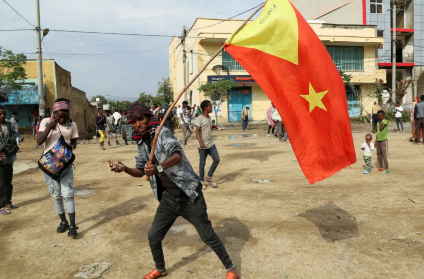  TDF and Government of Tigray: Short Perspective