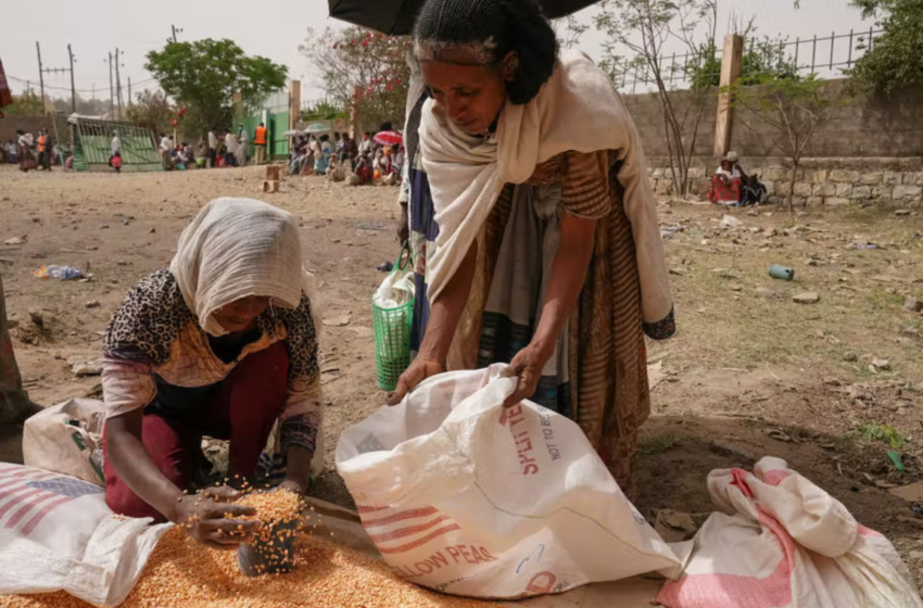  Famine in Ethiopia: the roots lie in Eritrea’s long-running feud with Tigrayans
