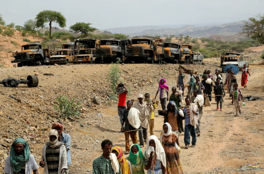  Somali troops committed atrocities in Tigray as new alliance emerged, survivors say