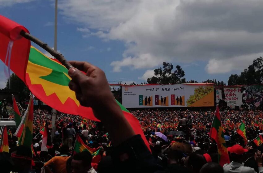  A detached elite can not bring plight of Oromos to end